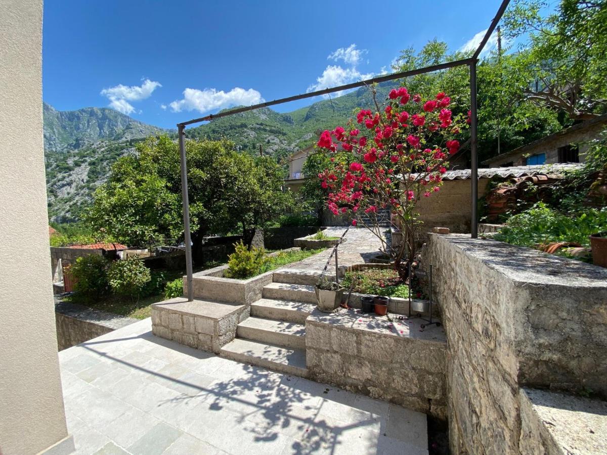 Apartments Mezini 11 Kotor Buitenkant foto